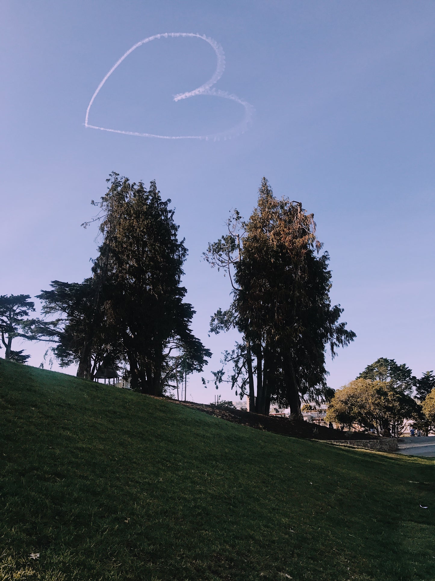 Print Fine Art - Love Above The Trees