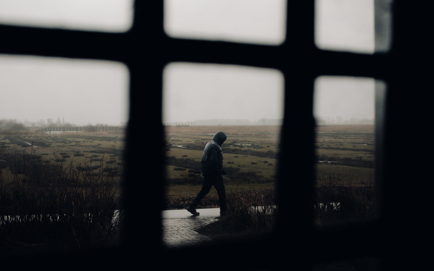Print Fine Art - Crossing